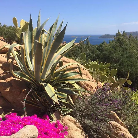 Adele, Con Piscina A 700 Mt Dal Mare Villa