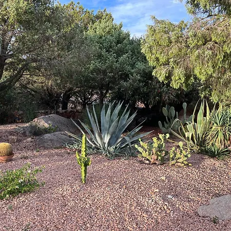 Adele, Con Piscina A 700 Mt Dal Mare * Monte Petrosu