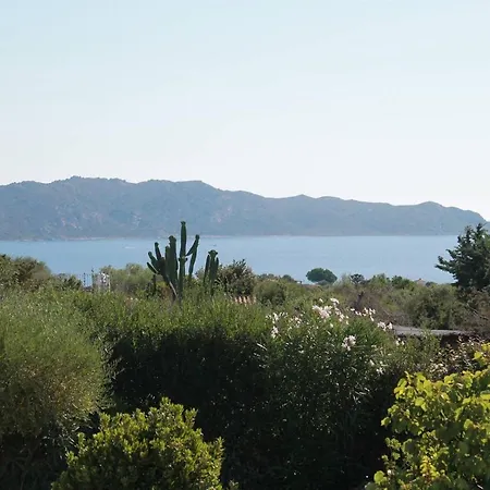 Willa Adele, Con Piscina A 700 Mt Dal Mare